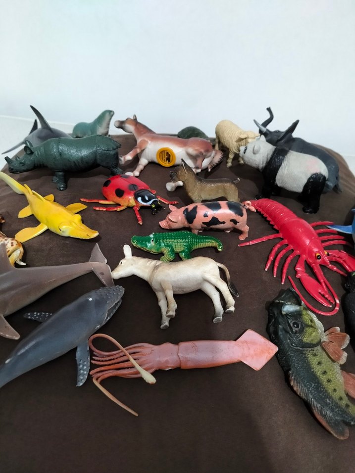 hayvanlar - Görsel 2