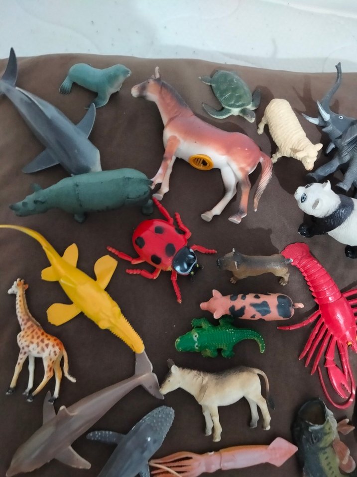 hayvanlar - Görsel 3