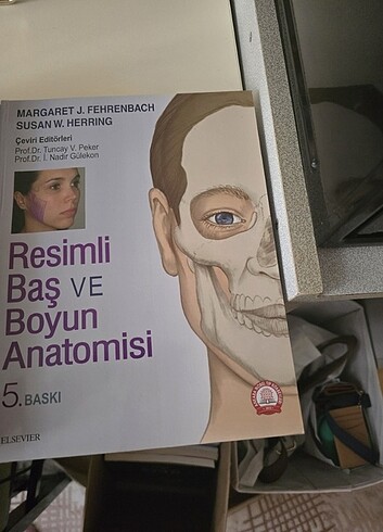 baş yüz anatomisi 