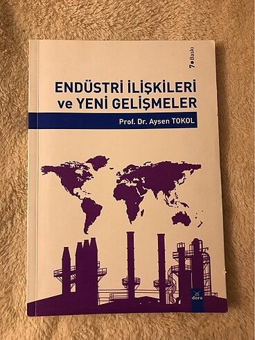 Endüstri ilişkileri aysen tokol