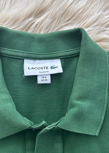 Erkek Koyu Yeşil orjinal lacoste polo tişört - Görsel 3
