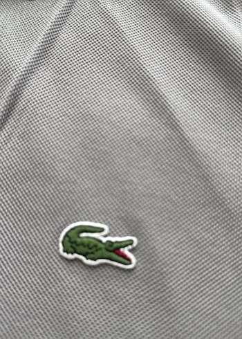 Gri Erkek Polo Tişört lacoste orjinal marka - Görsel 3