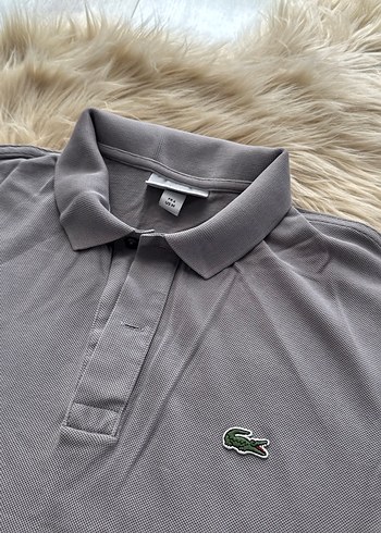 Gri Erkek Polo Tişört lacoste orjinal marka - Görsel 2