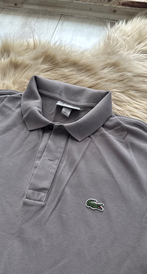Gri Erkek Polo Tişört lacoste orjinal marka - Görsel 2