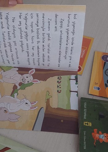 Beden Renk Çocuklar için Resimli Kitap Seti