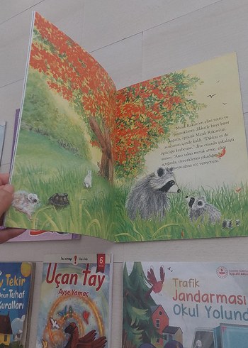 Çocuklar için Resimli Kitap Seti