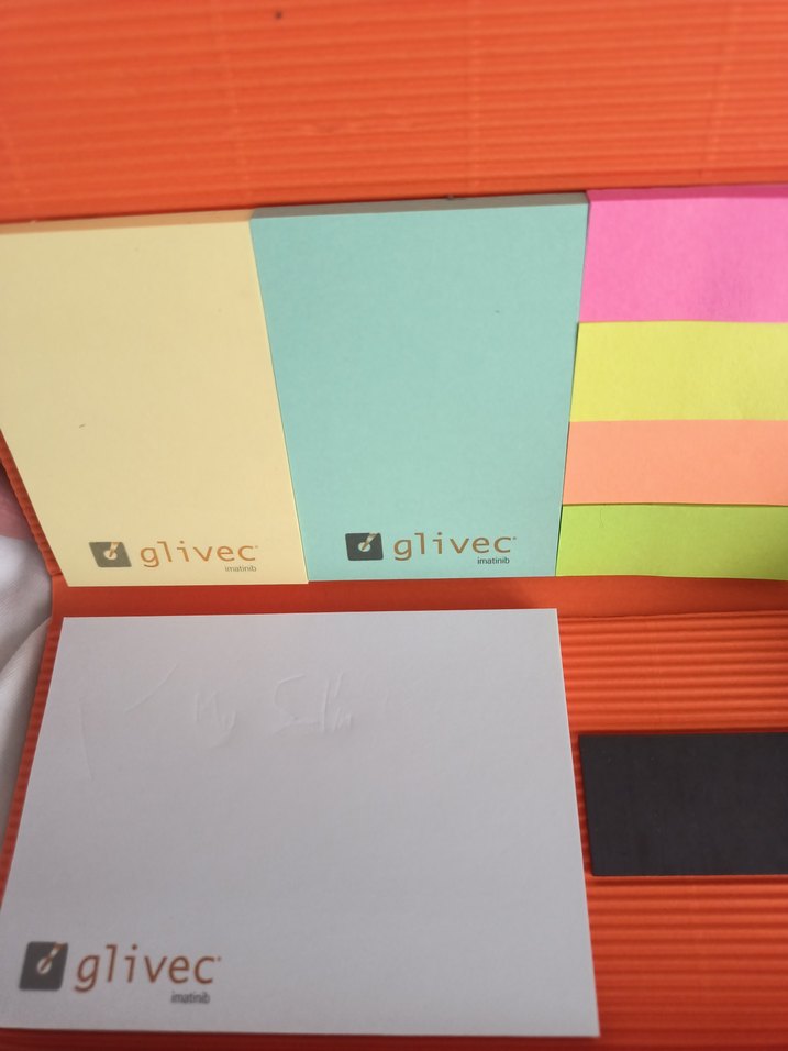 Parlak Turuncu Vintage Erkek Rozeti - Görsel 2