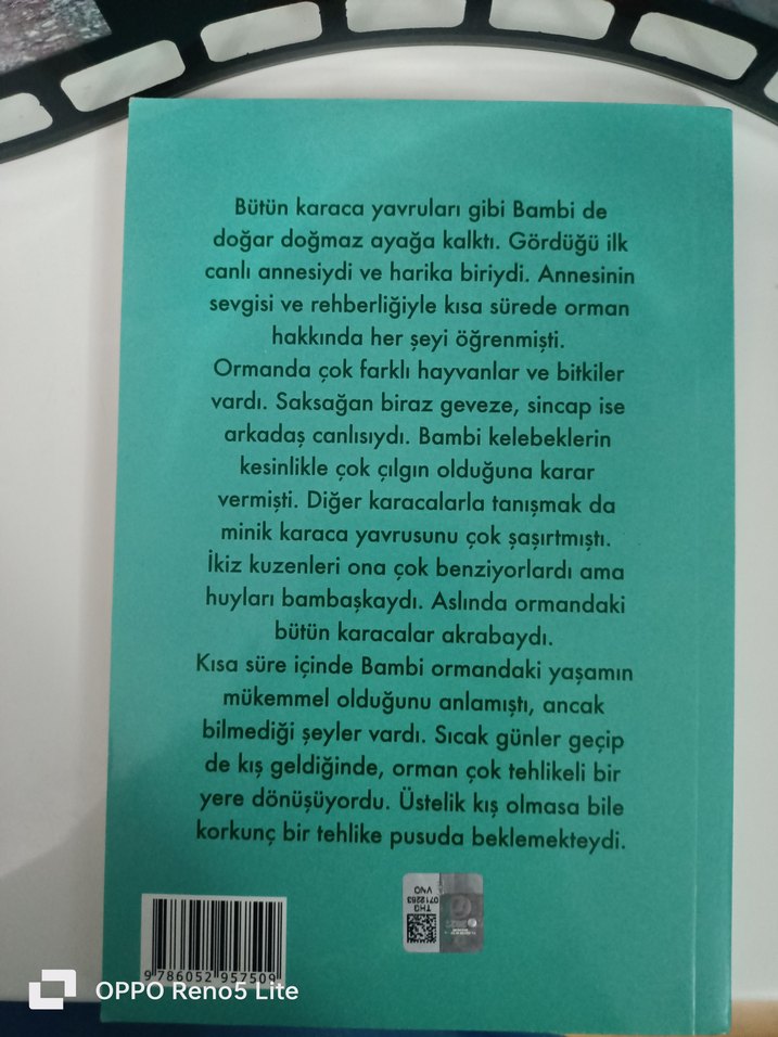 Bambi   Felix Saltenin Kısaltılmış Klasik Hikayesi — görsel 2/2