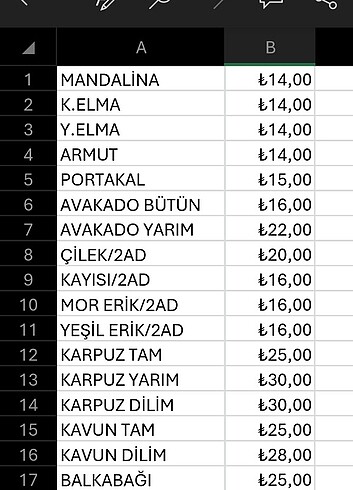  Beden Minyatür meyve fiyat listesi 
