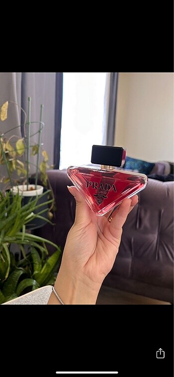 Prada paradox intense