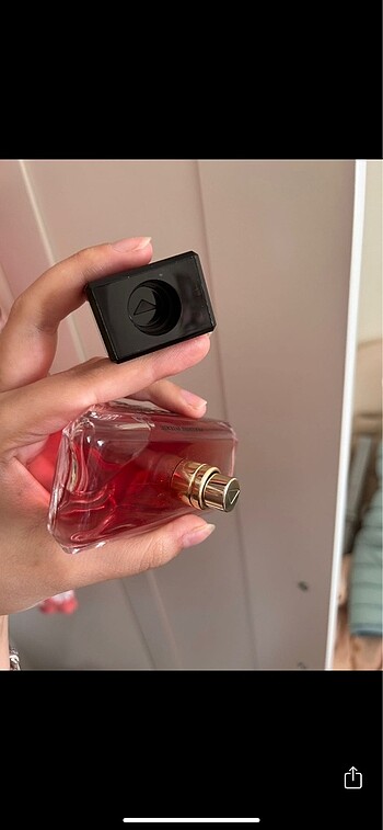 Prada Prada paradox intense