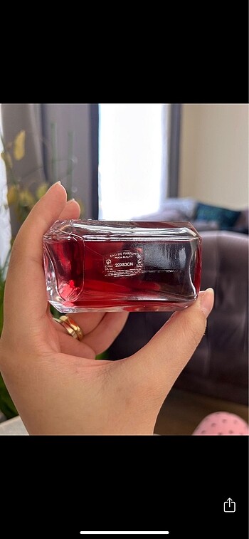  Beden Prada paradox intense