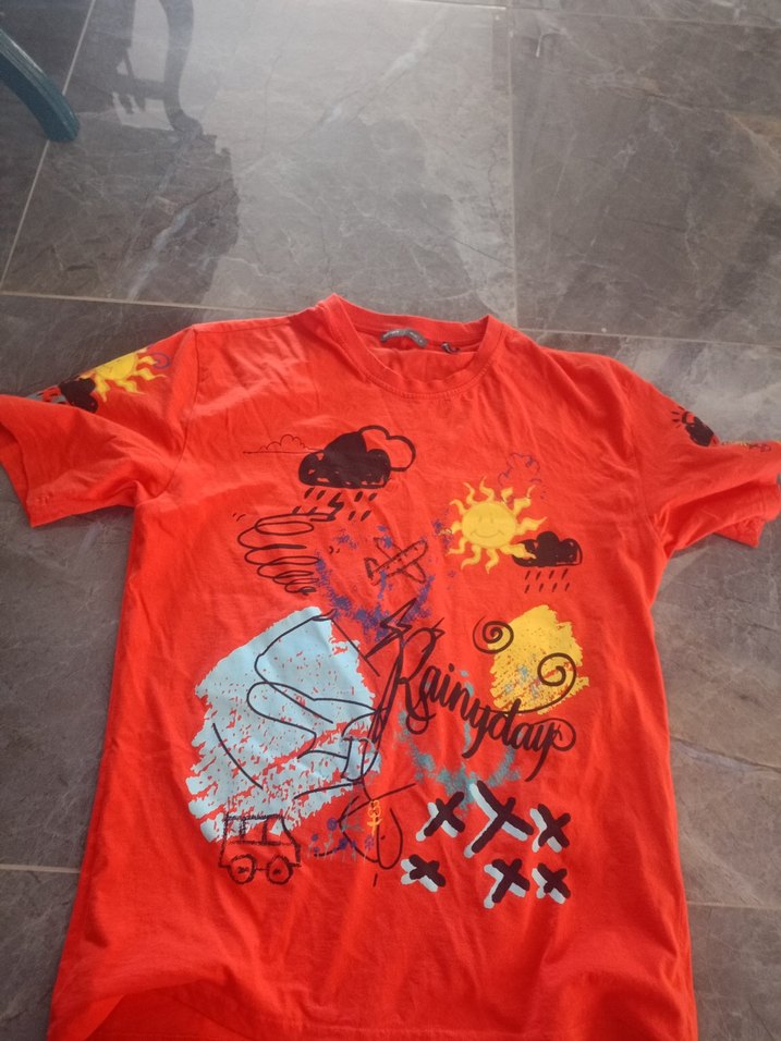 Kırmızı Baskılı Erkek  Tişörtü - Görsel 2