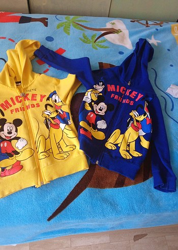 Mickey Baskılı Fermuarlı Erkek Çocuk Hırka ikili fiyat 3-4 yaş