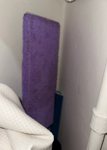 Mop günlük