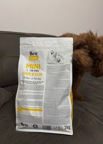 Brit Care Mini Somon & Ringa Balığı Tahılsız Köpek Maması - Görsel 3