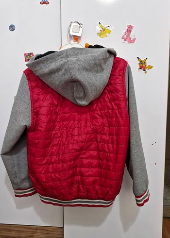 Nakışlı ve Fermuarlı Erkek Çocuk Ceket - Görsel 3