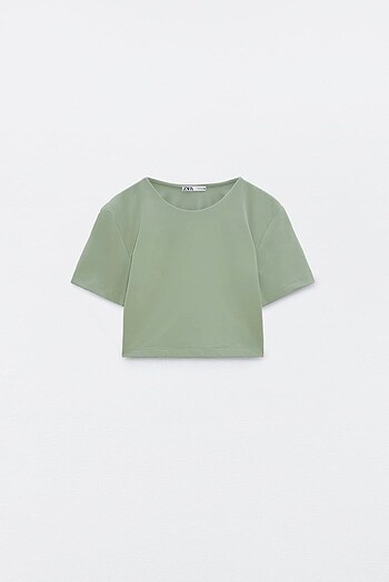 Zara Crop