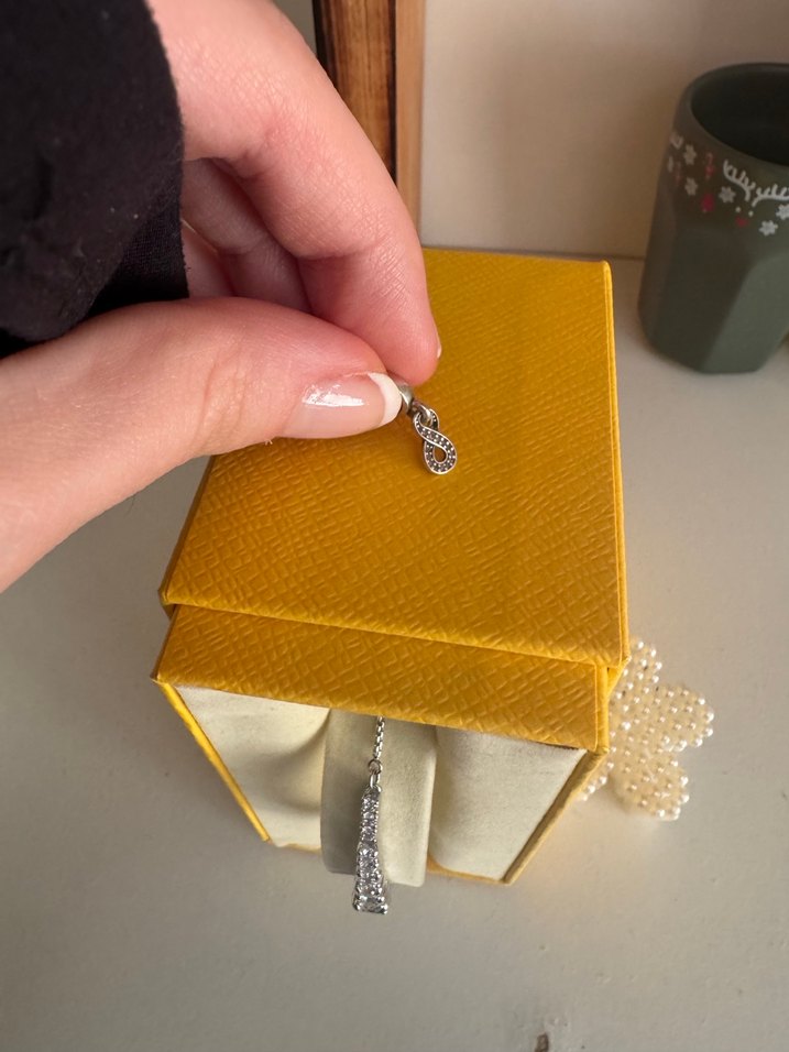 Pandora sonsuzluk charm - Görsel 5