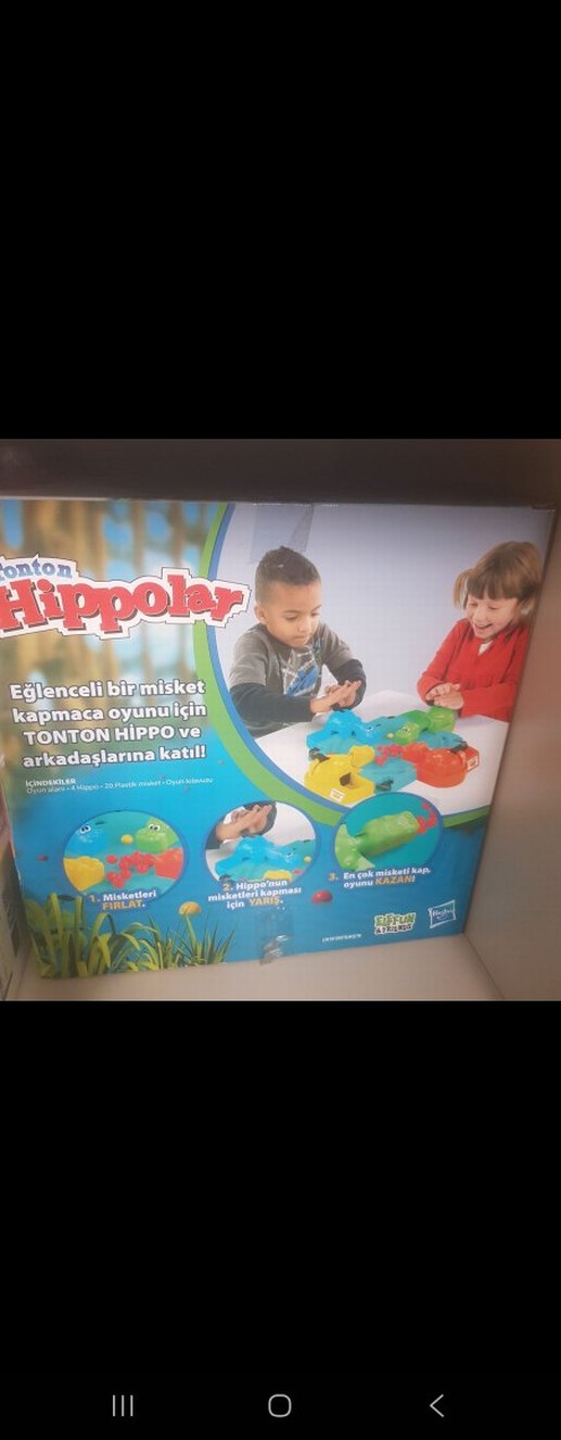 Tonto Hippolar Renkli Eğitici Oyuncak - Görsel 4