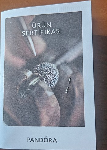 Gri Zincir Detaylı Pandora Bileklik - Görsel 9