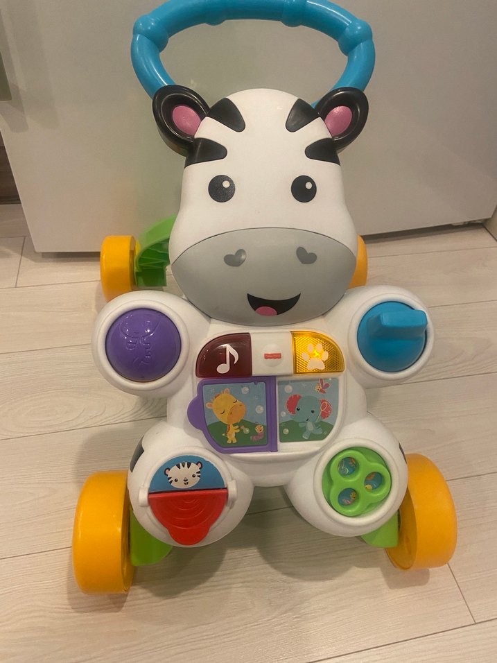 Yürüme Arkadaşı (Fisher Price) - Görsel 2