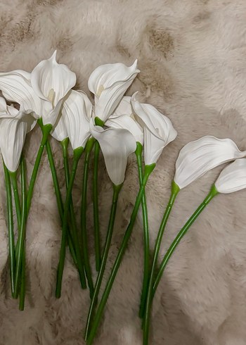 Gelin çiçeği gala - Görsel 4