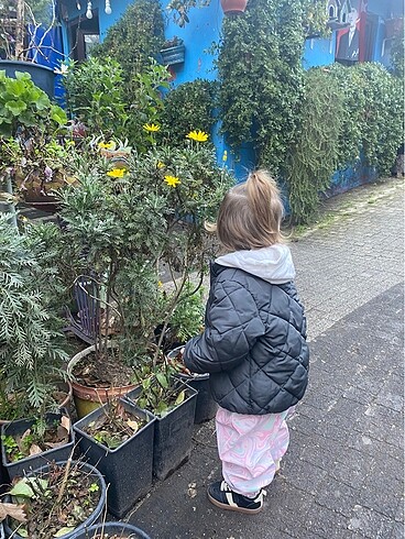 Kapitoneli mont - Görsel 6