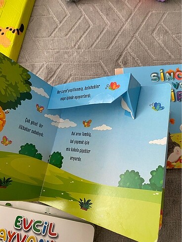 Kitap
