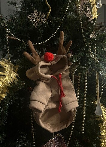 kedi köpek tulum - Görsel 2