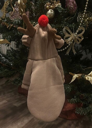 kedi köpek tulum - Görsel 3