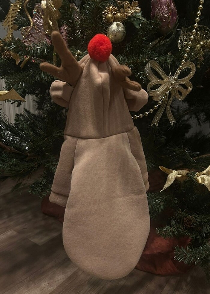 kedi köpek tulum - Görsel 3