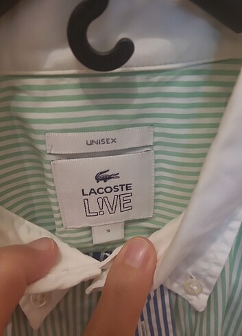 Orjinal lacoste