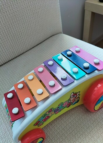 Diğer Muzik aleti