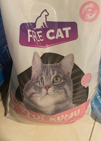 Free Cat Kedi Kumu