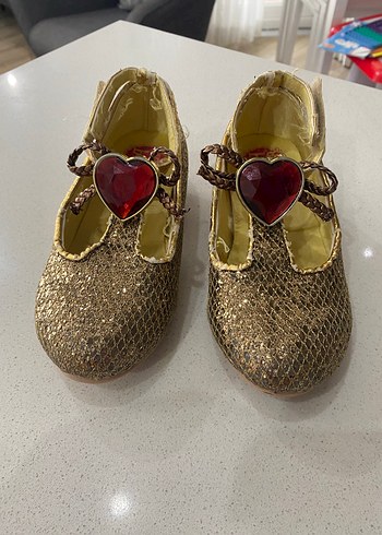 Walt Disney World 25