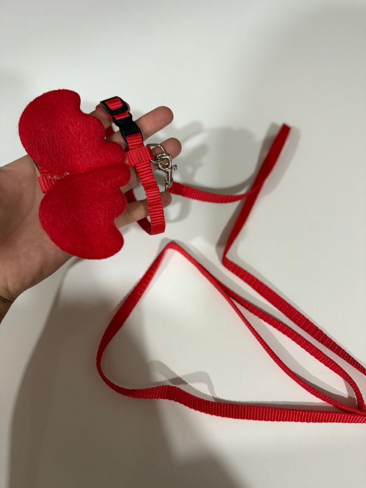 Kırmızı Kedi Tasması ve Fiyonk Aksesuarı - Görsel 3