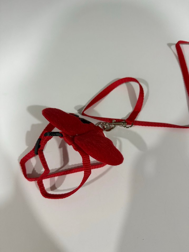Kırmızı Kedi Tasması ve Fiyonk Aksesuarı - Görsel 4