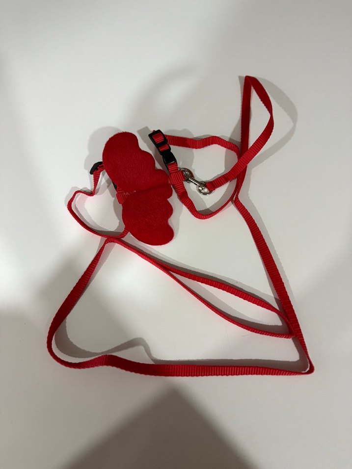 Kırmızı Kedi Tasması ve Fiyonk Aksesuarı - Görsel 2