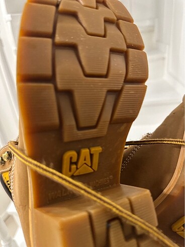 Cat Cat bot orijinal.????