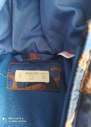Mango mont