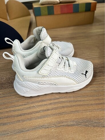 Puma orj puma