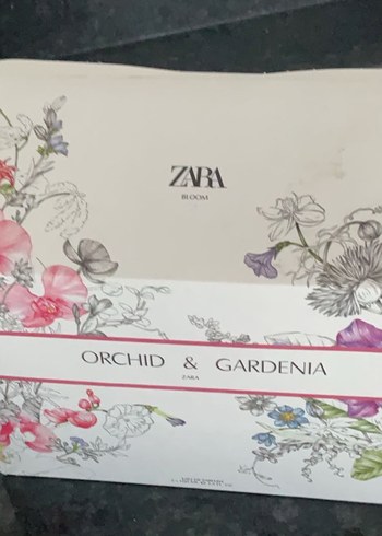  Beden Zara- Orchid