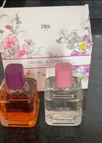  Beden Renk Zara- Orchid