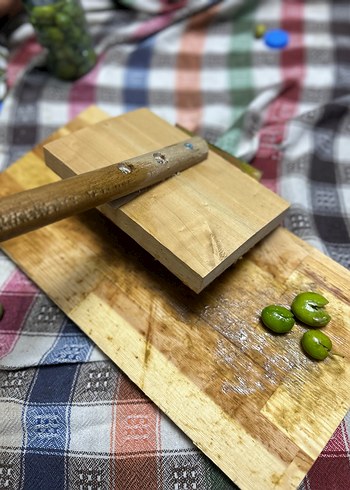 Zeytin Kıracağı