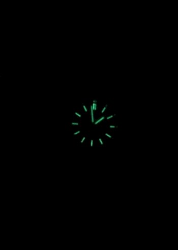 Diğer Full set Audemars Piguet Erkek Altın Renk Saat