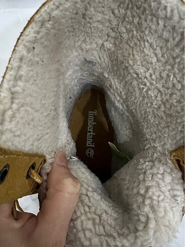 37 Beden Timberland bot
