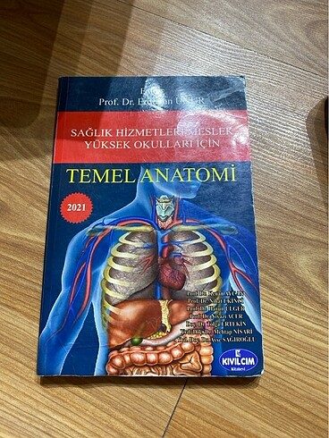 Temel anatomi