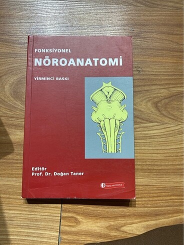 Nöroanatomi