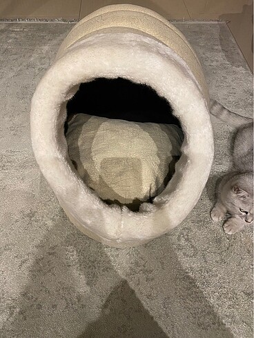Alaska tipi kedi yatağı